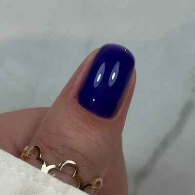 Gel constructor en Botella BBIO Iconic - Blueberry - Libre de HEMA y TPO | Didier Lab - 15ml